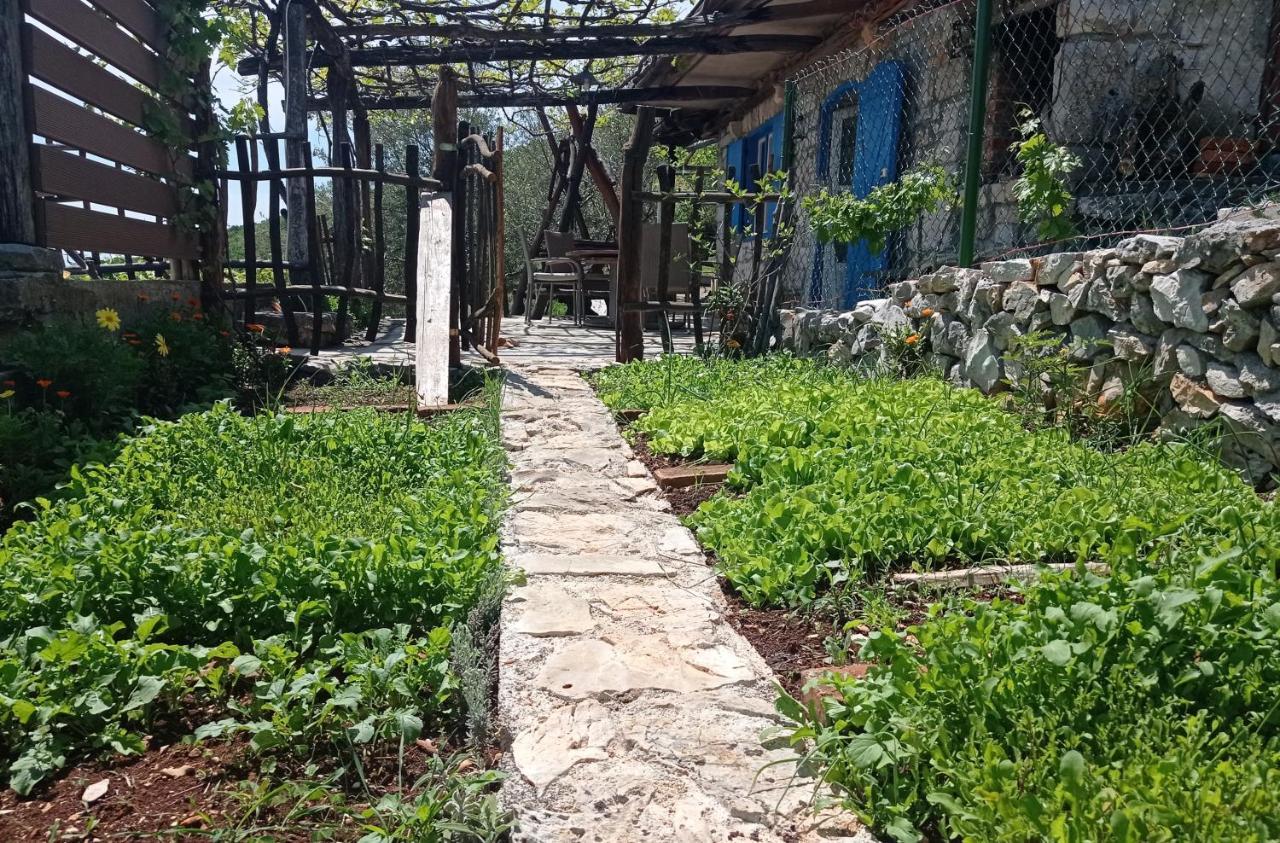 Casa Delle Olive Villa มอชเชนิชกา ดรากา ภายนอก รูปภาพ