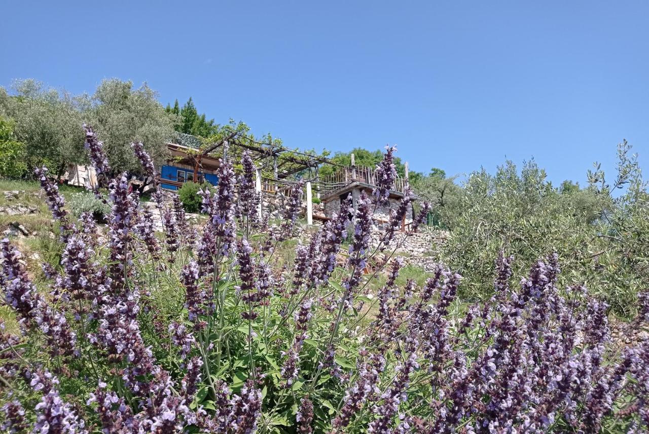 Casa Delle Olive Villa มอชเชนิชกา ดรากา ภายนอก รูปภาพ