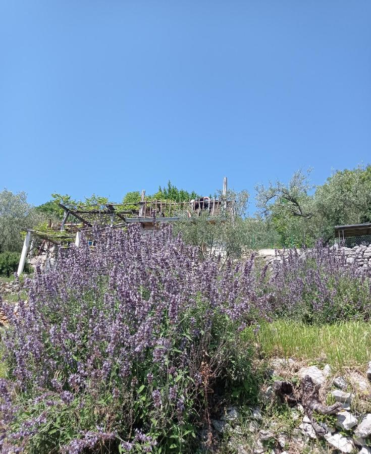 Casa Delle Olive Villa มอชเชนิชกา ดรากา ภายนอก รูปภาพ